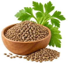 Celery seed extract in Phytolactin