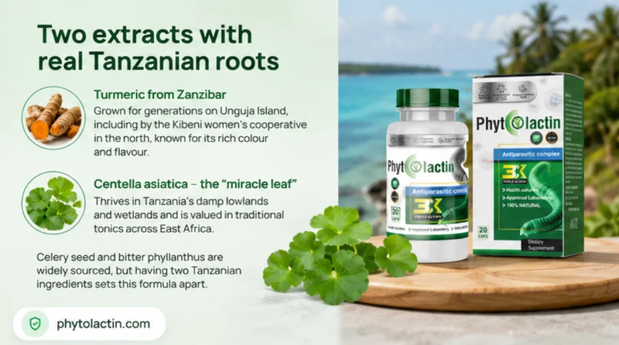 Phyllanthus amarus and Centella asiatica, plants that grow wild in Kenya