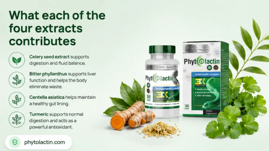 The four plant extracts inside Phytolactin