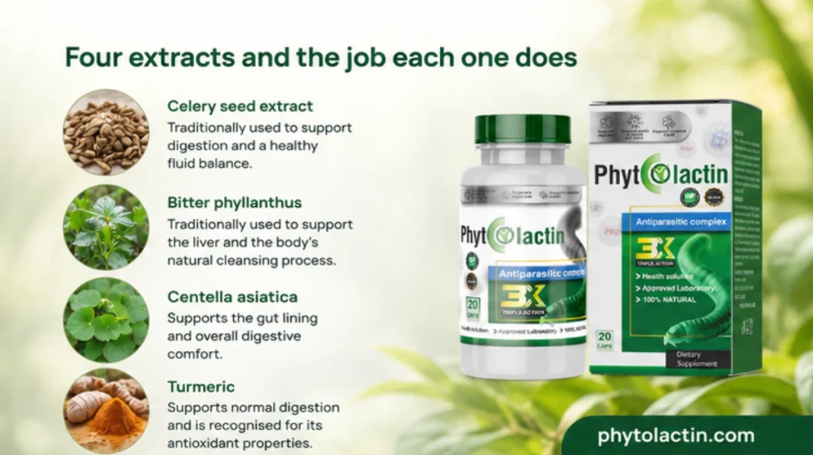 The four plant extracts inside Phytolactin
