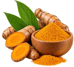 Turmeric extract in Phytolactin