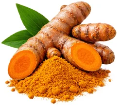 Turmeric extract in Phytolactin